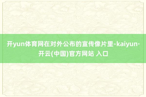  开yun体育网在对外公布的宣传像片里-kaiyun·开云(中国)官方网站 入口